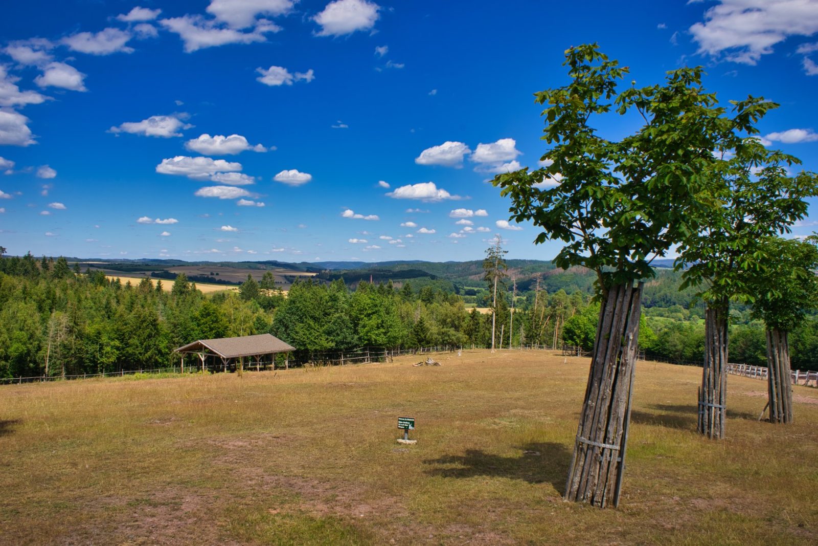 Frankenberger Blickwinkel