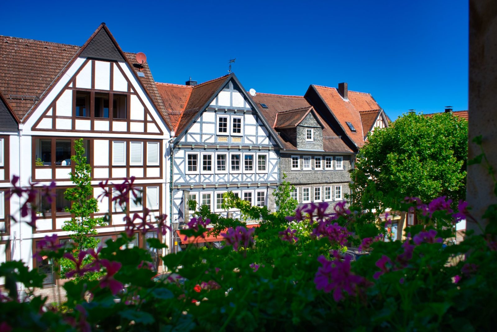 Frankenberger Blickwinkel