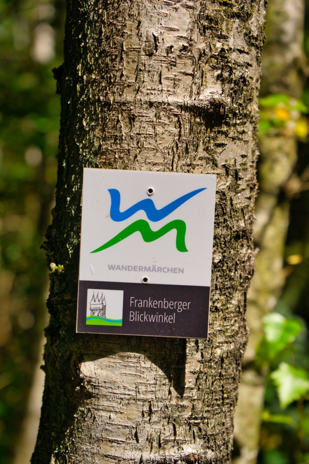 Frankenberger Blickwinkel