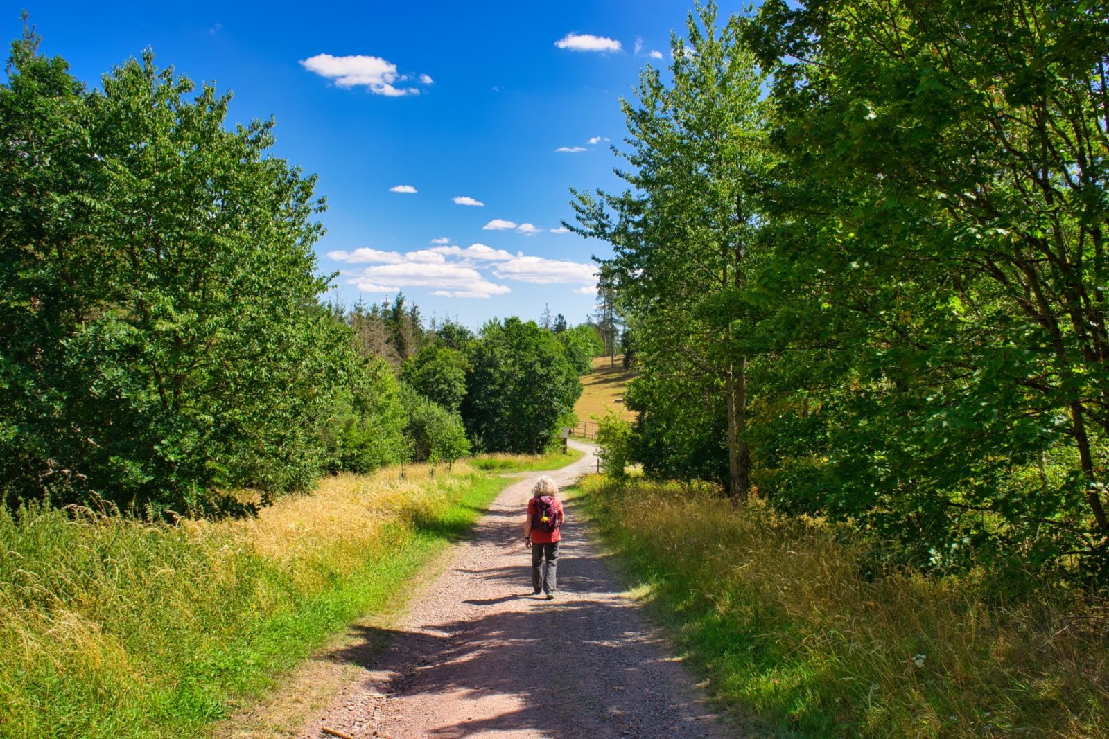 Frankenberger Blickwinkel