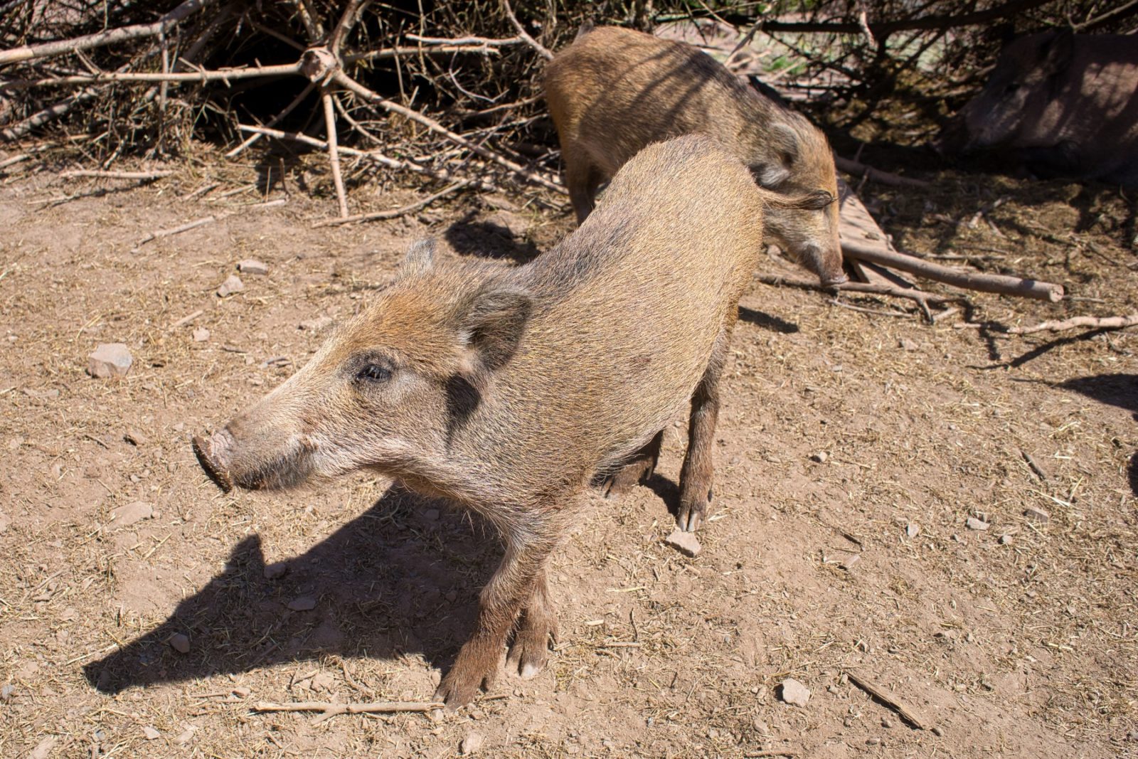 Frankenberger Blickwinkel