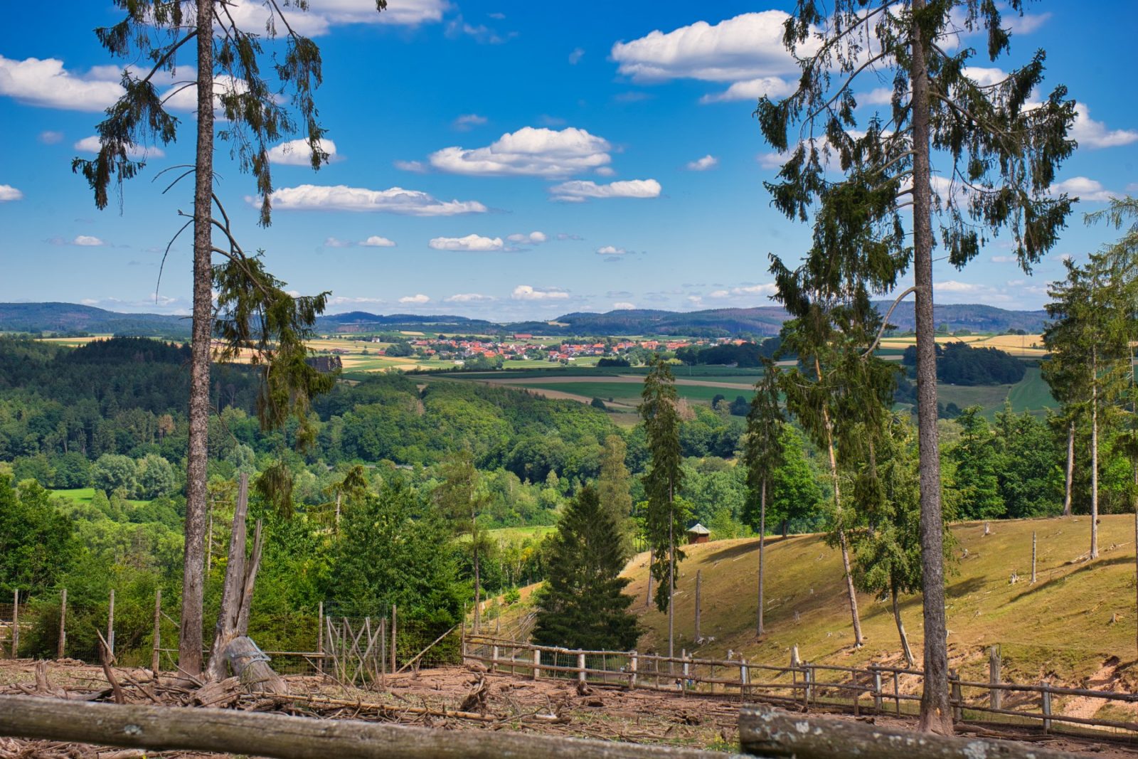 Frankenberger Blickwinkel