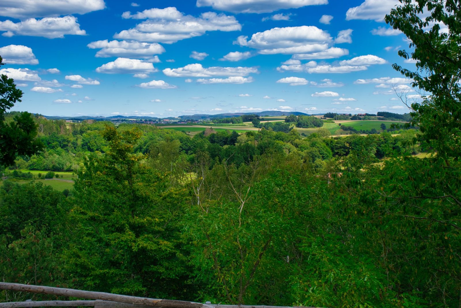 Frankenberger Blickwinkel