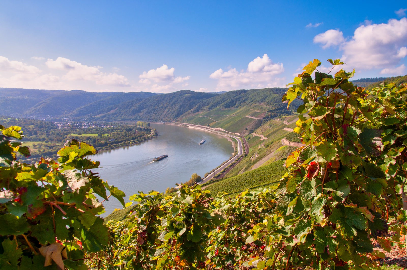 Traumpfad Rheingoldbogen