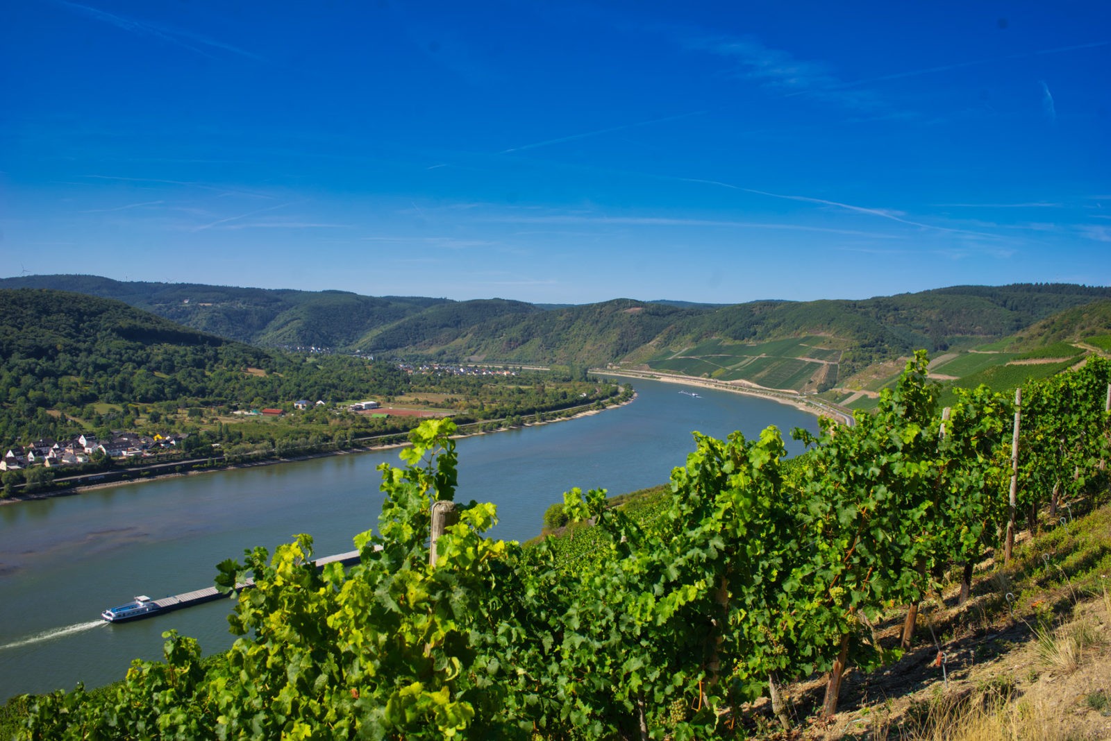 Traumpfad Rheingoldbogen