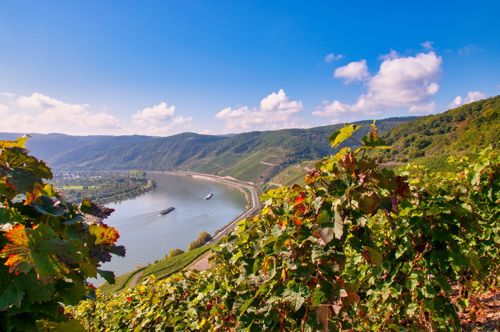 Traumpfad Rheingoldbogen