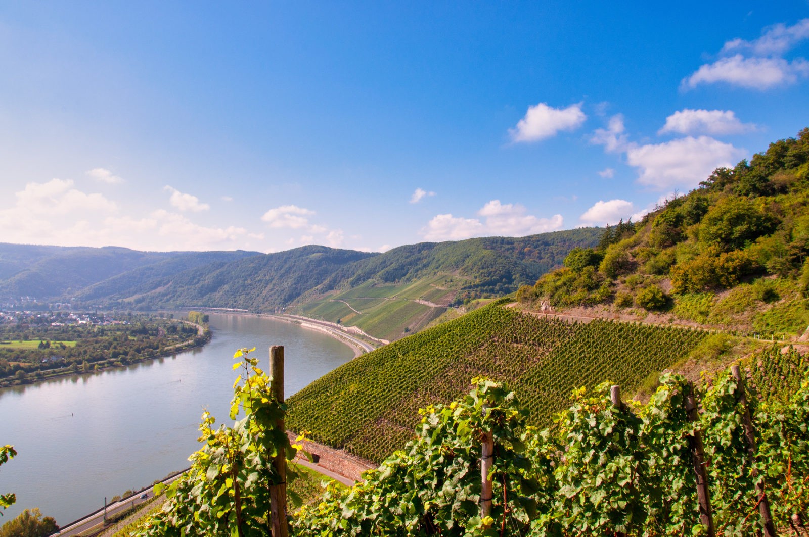 Traumpfad Rheingoldbogen