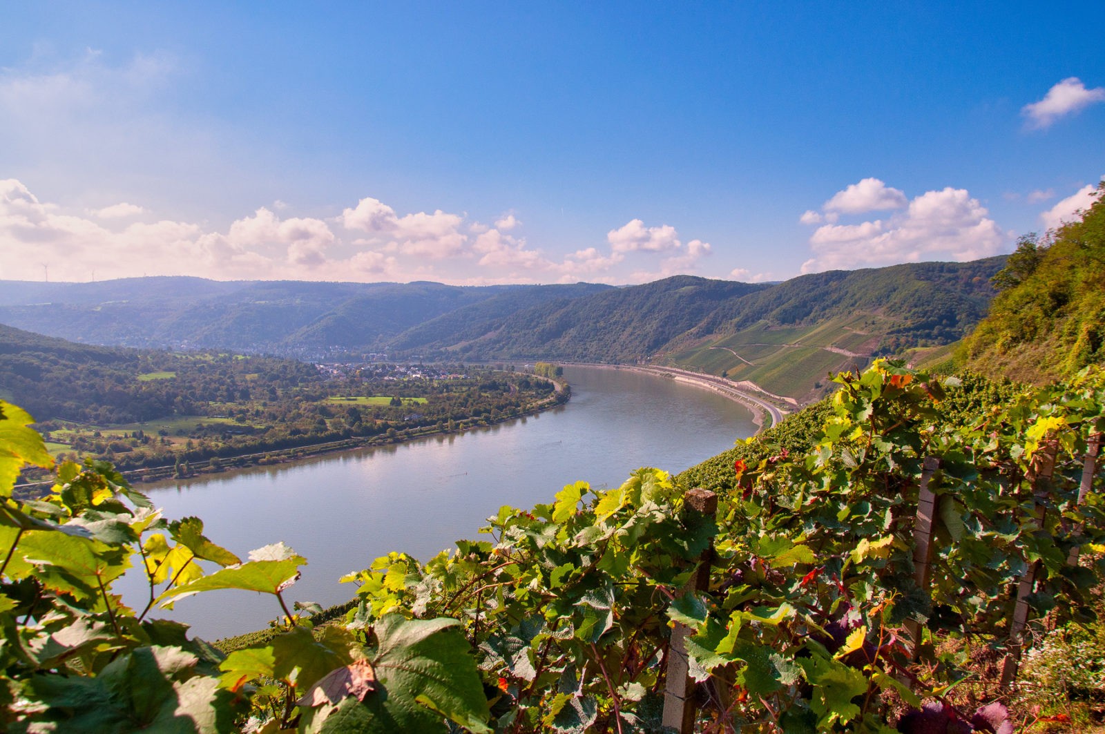 Traumpfad Rheingoldbogen