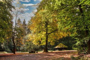 Kastanie am Fünfkantstein