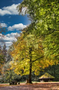 Rastplatz am Fünfkantstein auf dem Traumpfad Förstersteig