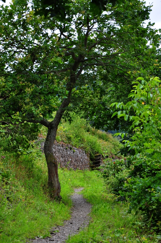 Hatzenporterlaysteig6