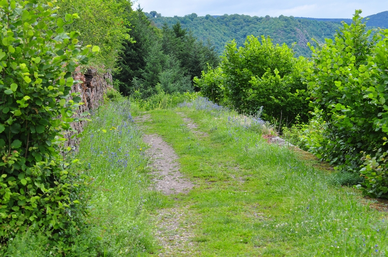 Hatzenporterlaysteig8