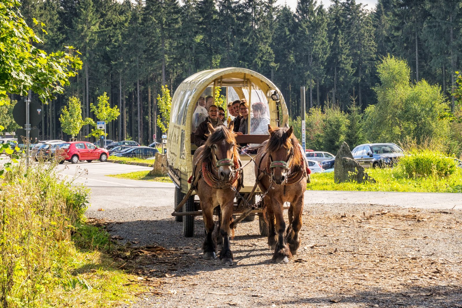 pferdekutsche-beim-roten-moor