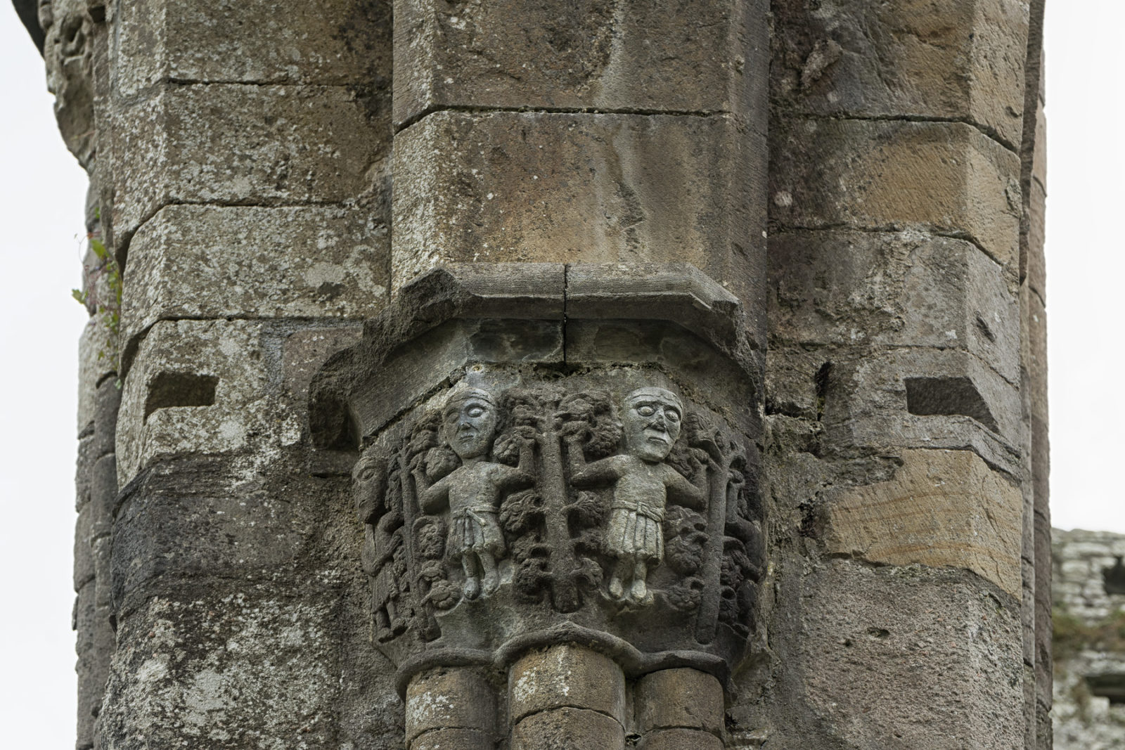 Boyle Abbey