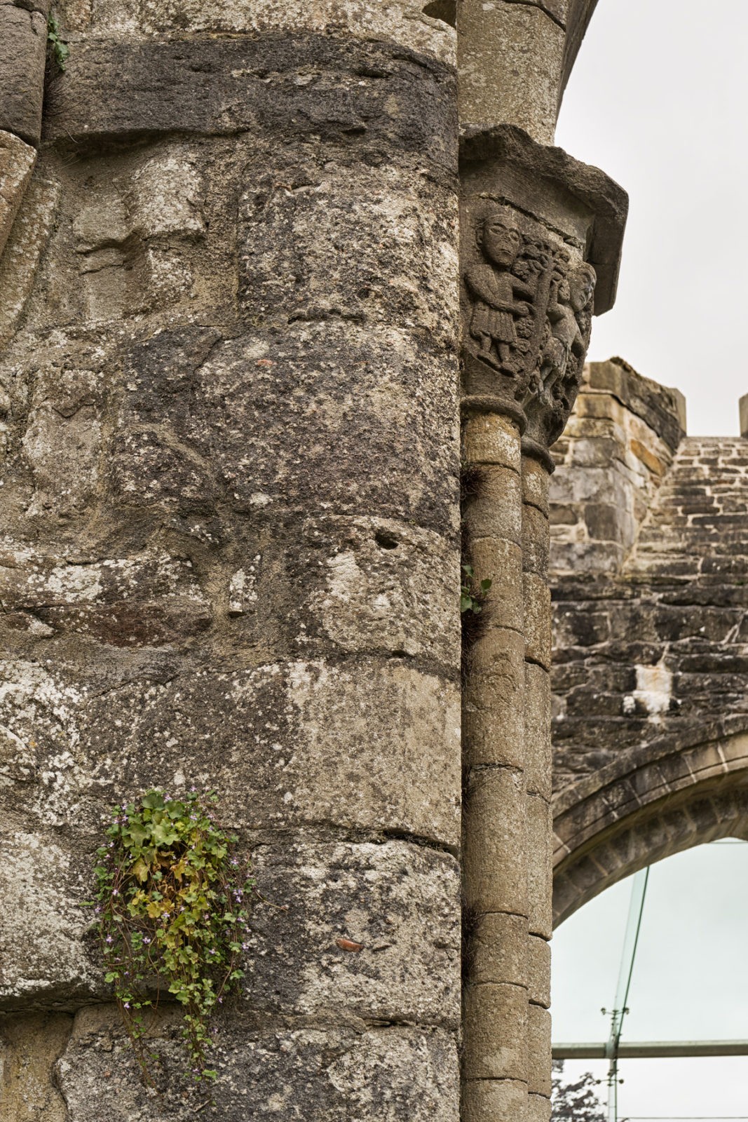 Boyle Abbey