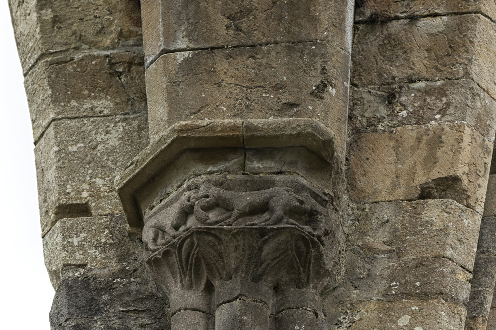 Boyle Abbey