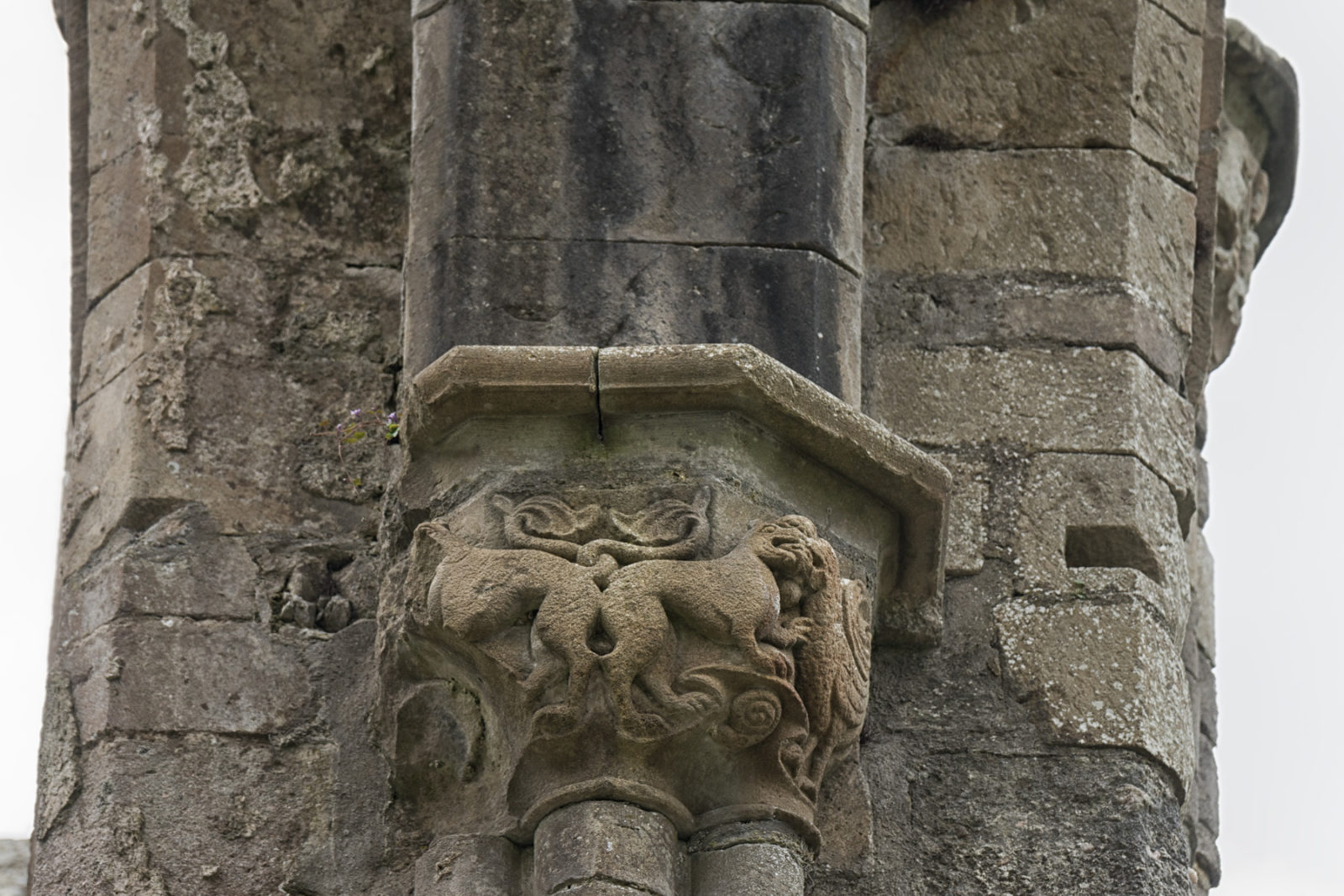 Boyle Abbey