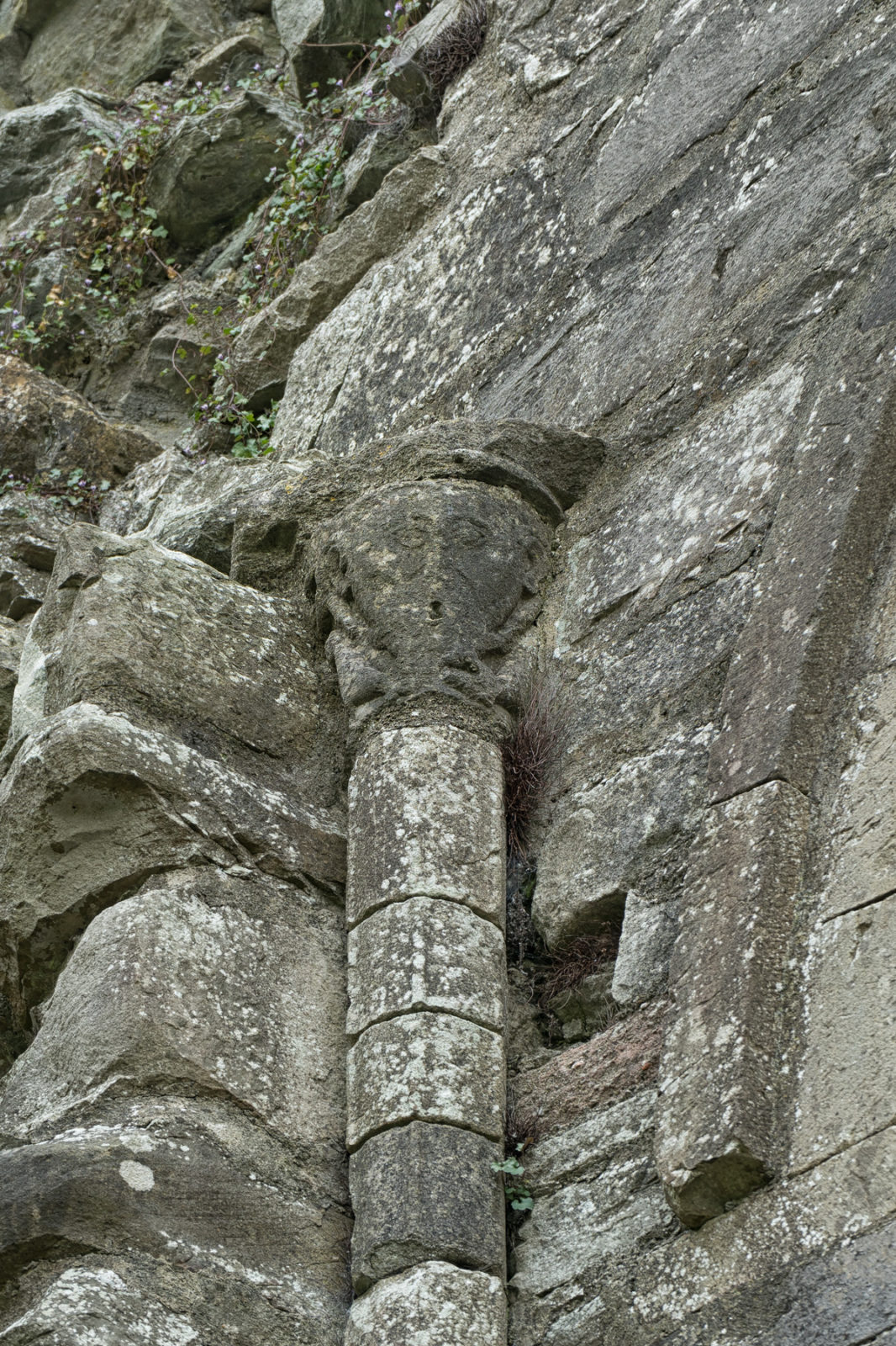Boyle Abbey