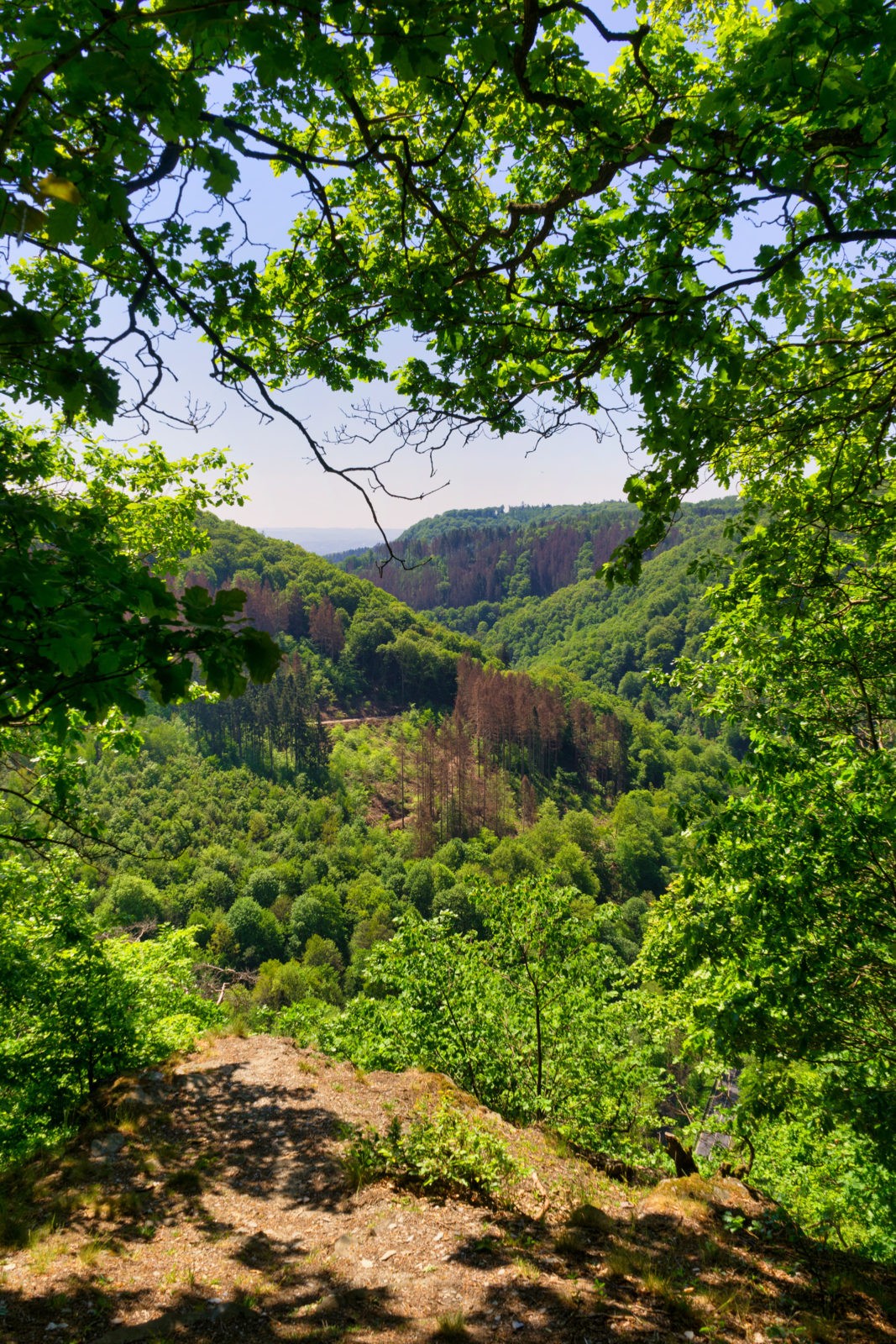Sayn und Isenburg