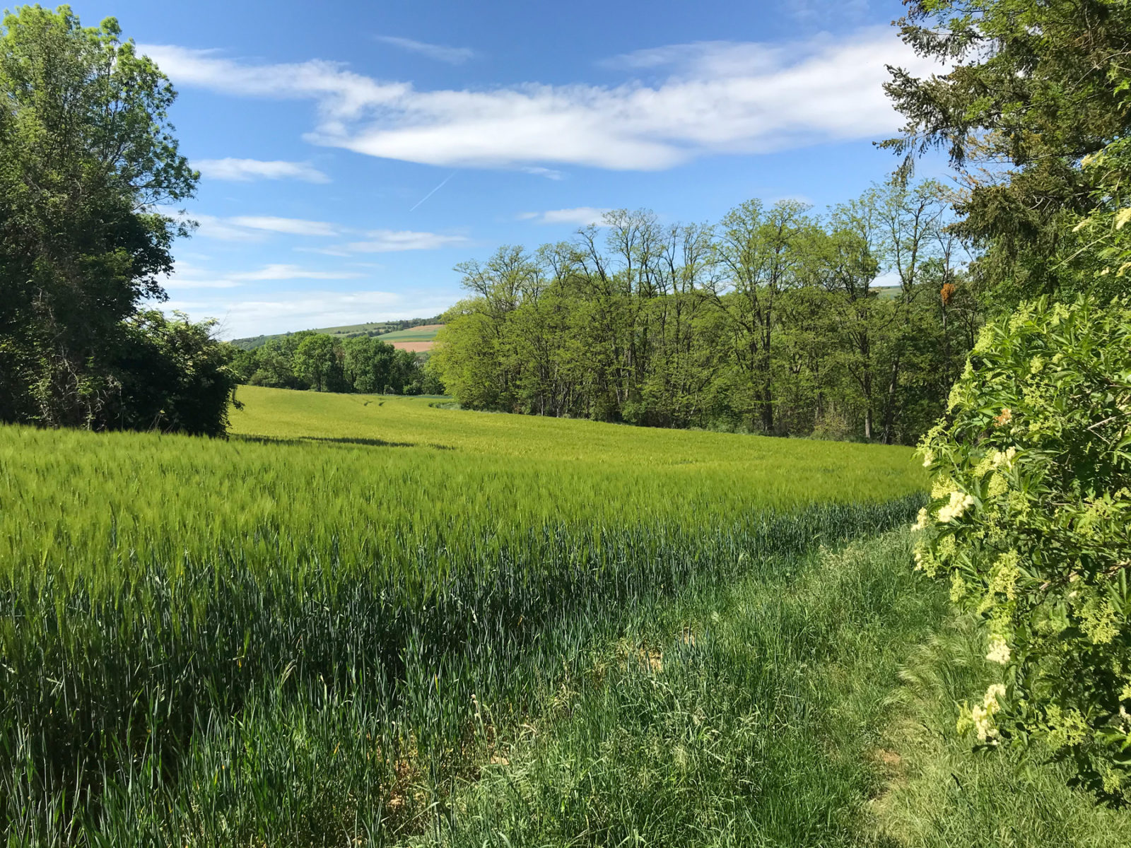 Traumhafter Keberbach, Carlshöhe und sonniges Maifeld