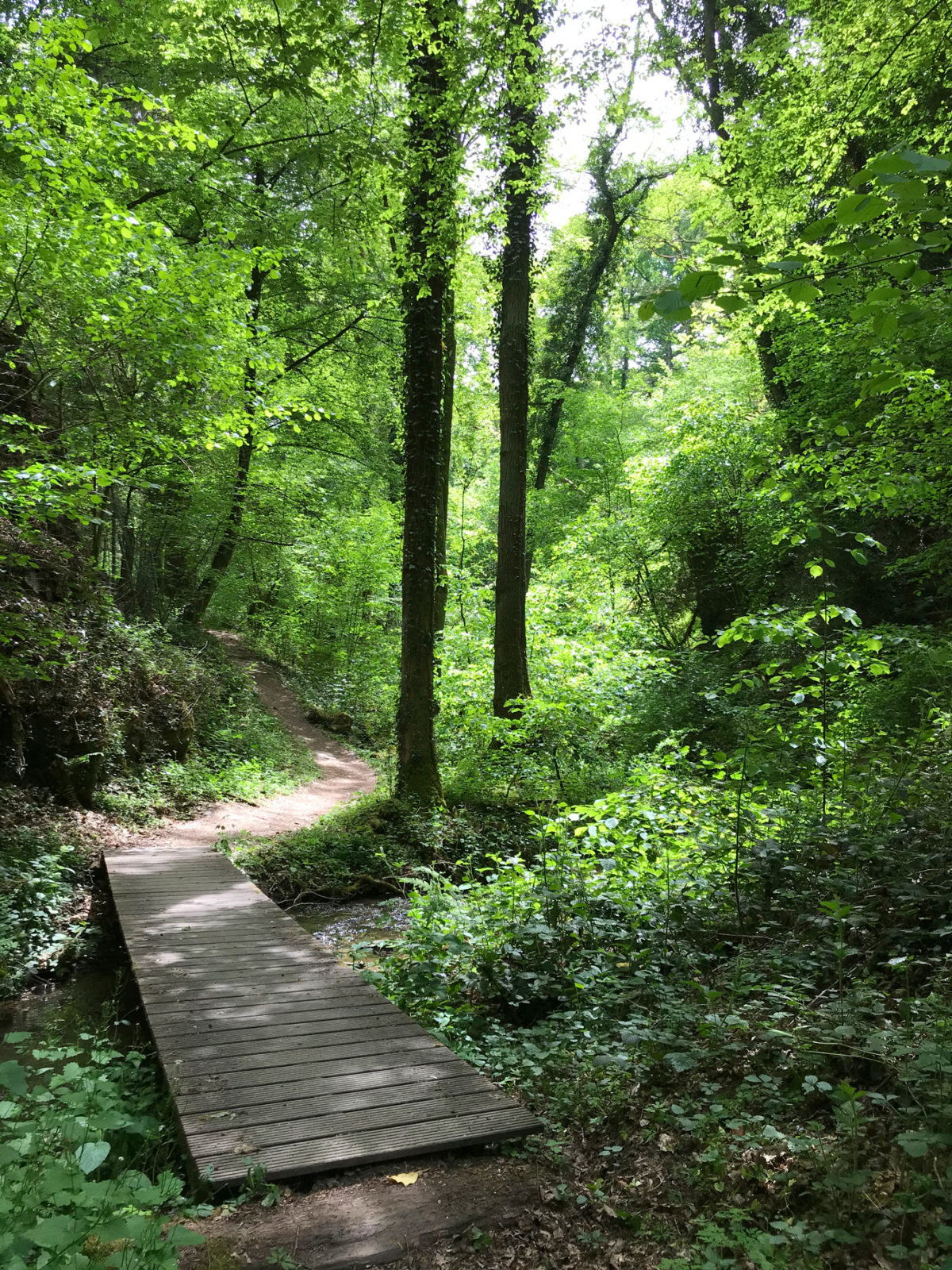 Traumhafter Keberbach, Carlshöhe und sonniges Maifeld