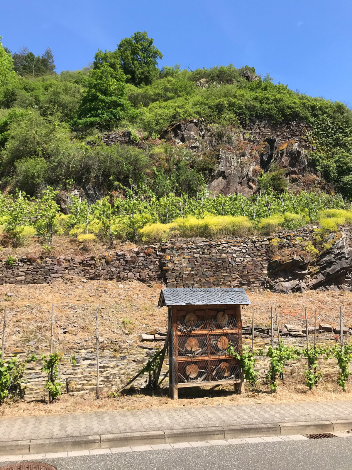 Traumhafter Keberbach, Carlshöhe und sonniges Maifeld