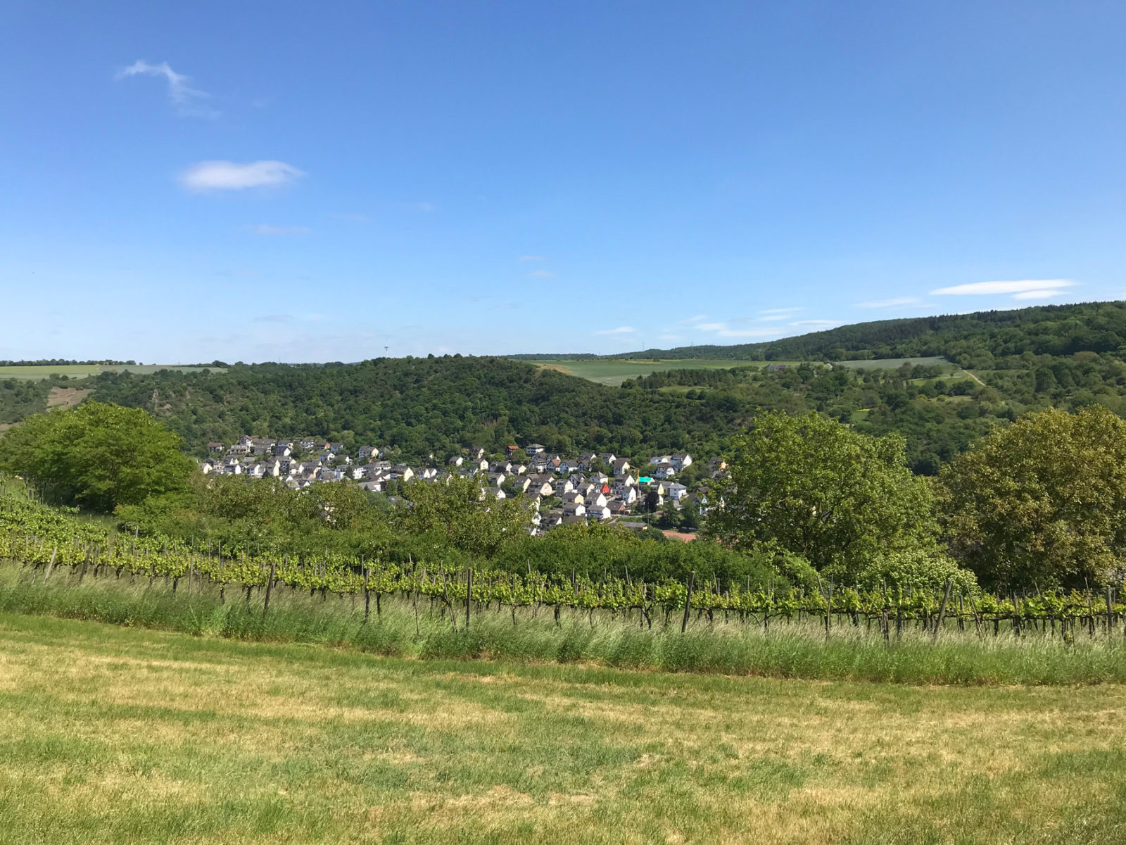 Traumhafter Keberbach, Carlshöhe und sonniges Maifeld