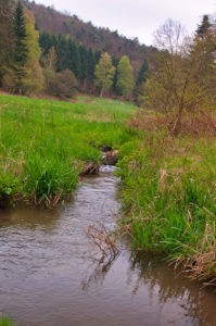 Fockenbachtal