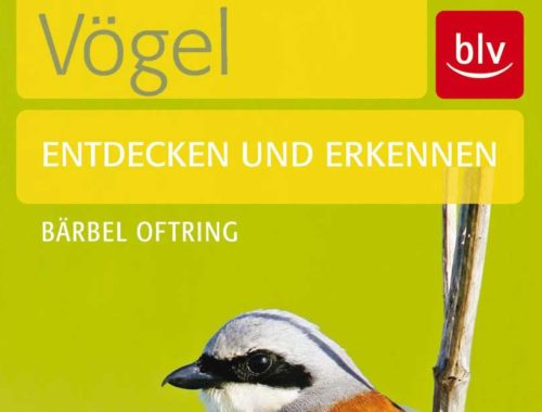 Vögel - entdecken und erkennen (BLV)